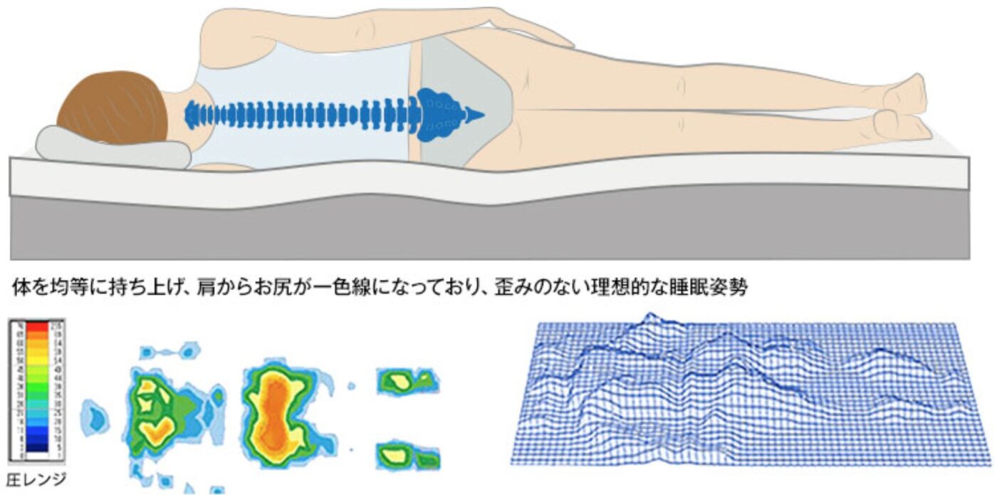 モットンの硬さ(ニュートン)の選び方|140N・170N・280Nどれが合 モットンの硬さ(ニュートン)の選び方|140N・170N・280Nどれが合