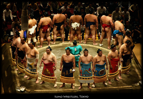 sumo