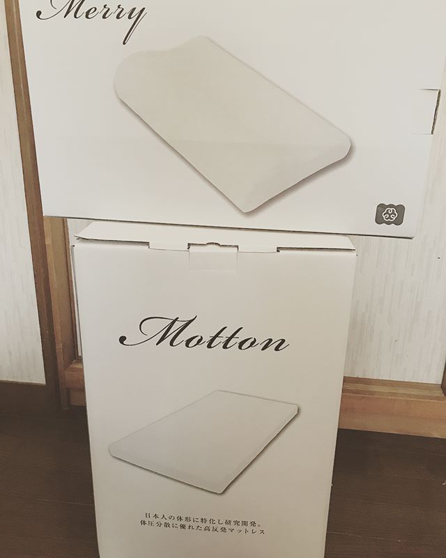 モットンを購入して届いたガズ