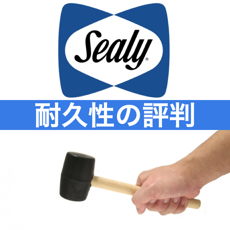 2021:02:27_モットン.005
