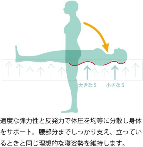 ルー マニフレックス モデル246 セミシングルSS ホワイト Amazon.co.jp: 【 引き取り 対応 ※一部地域のみ】マニフレックス