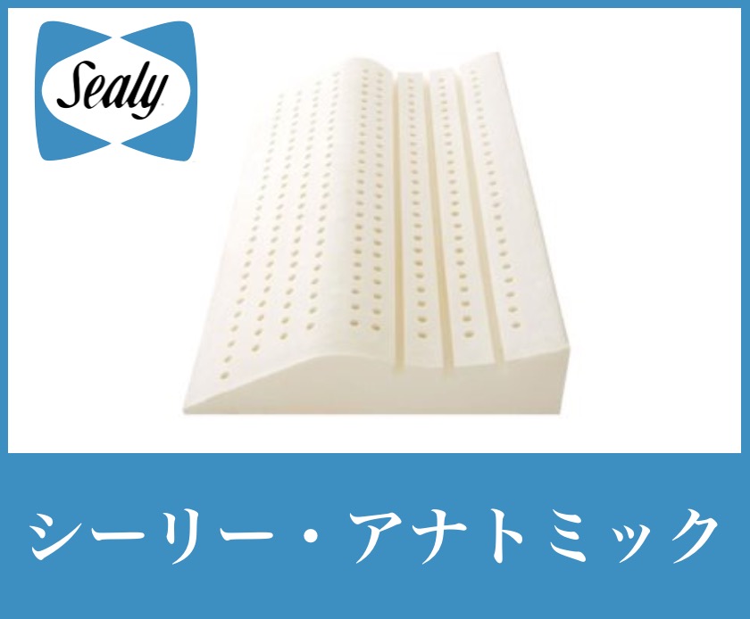 シーリー ラテックスピロー アナトミック