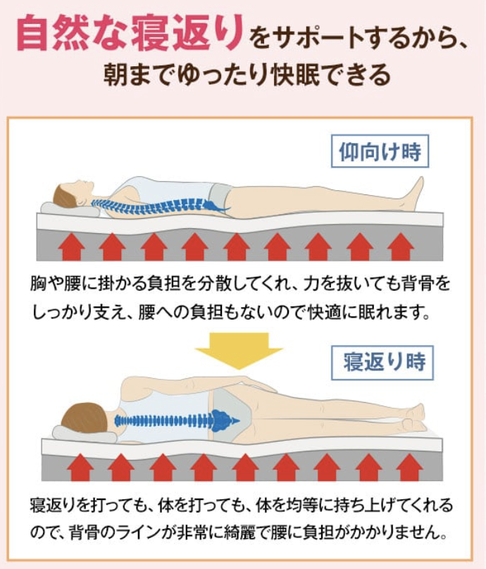 モットンは自然な寝返りをサポート