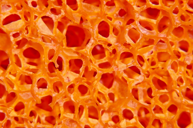 Red porous structure.