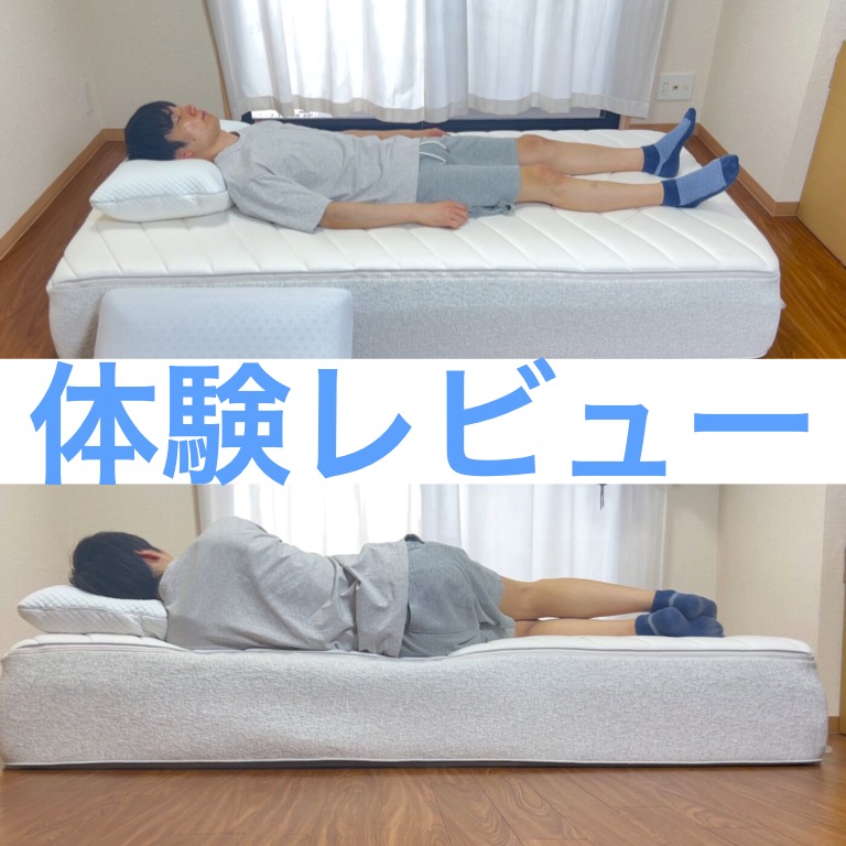 コアラふんわりピロー（枕） - 枕