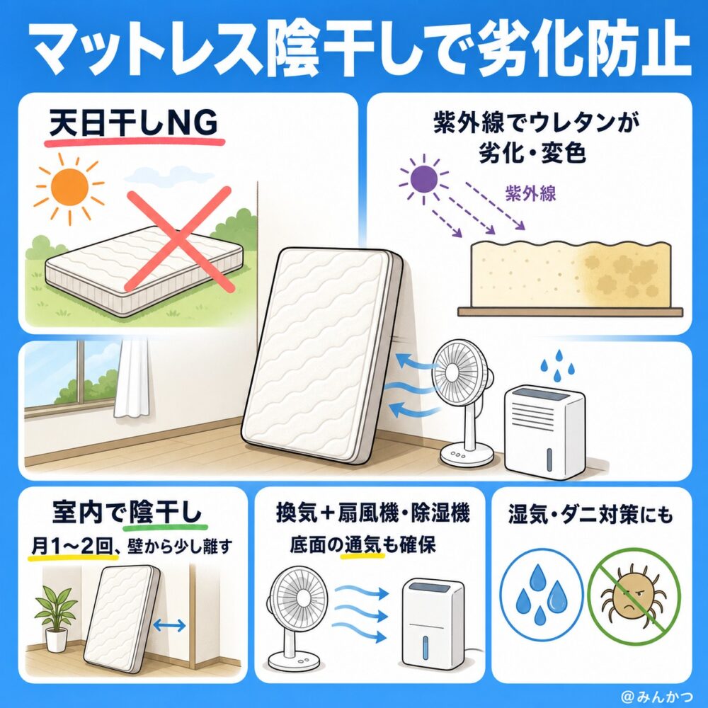 天日干しの代わりにできる正しい陰干し・風通し方法
