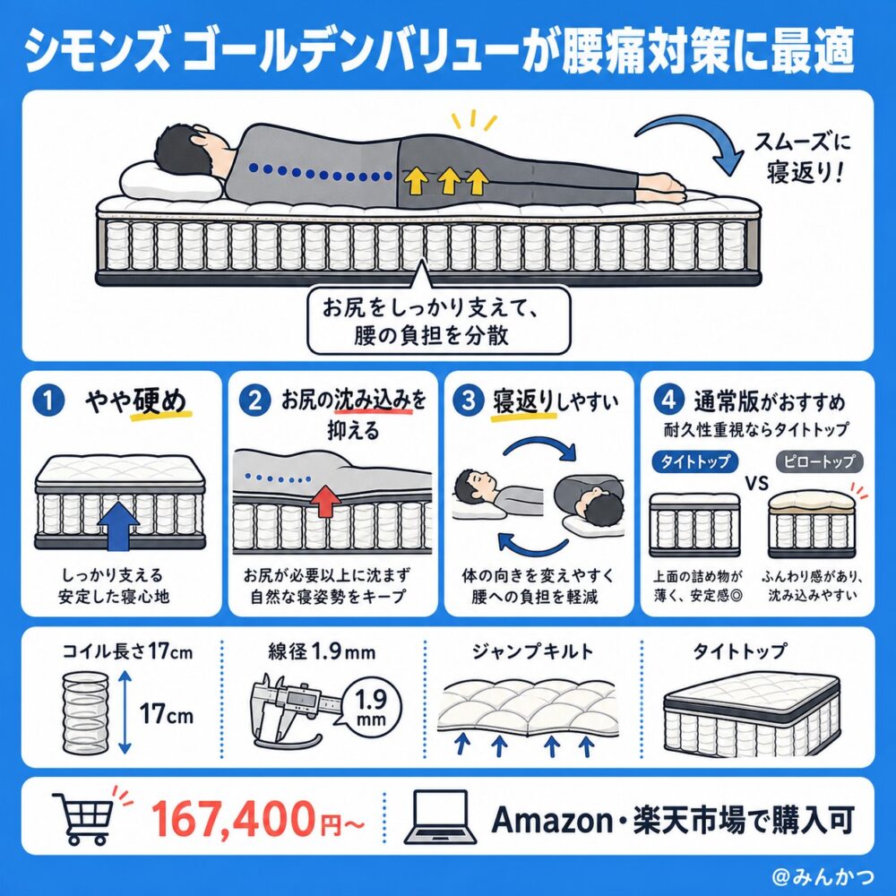 1位:ゴールデンバリュー【腰痛対策におすすめ】